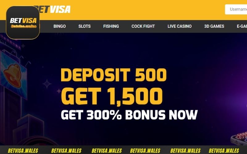 Giao diện trang web được thiết kế vô cùng ấn tượng